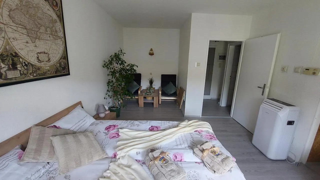 Pension Ringo, Airport Pit Stop, Bahnhof Und Flughafen In Der Naehe Baden-Baden 0*,